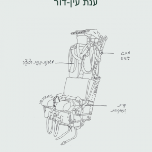 אנטומיה של כיסא מפלט, ענת עין-דור